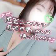 ヒメ日記 2026/07/20 19:30 投稿 うた 所沢東村山ちゃんこ