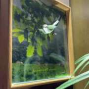 ヒメ日記 2025/09/07 05:20 投稿 ちゃみ 渋谷とある風俗店♡やりすぎコレクション