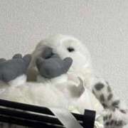 ヒメ日記 2025/10/14 02:36 投稿 ちゃみ 渋谷とある風俗店♡やりすぎコレクション