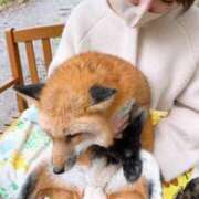 ヒメ日記 2025/10/25 18:47 投稿 ももえ 熟女の風俗最終章 仙台店