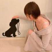 ヒメ日記 2025/11/16 20:52 投稿 ももえ 熟女の風俗最終章 仙台店