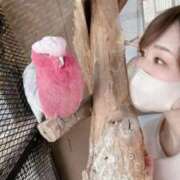 ヒメ日記 2025/11/21 13:40 投稿 ももえ 熟女の風俗最終章 仙台店