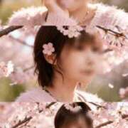 ヒメ日記 2026/03/18 01:40 投稿 ももえ 熟女の風俗最終章 仙台店