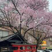 ヒメ日記 2026/04/01 16:42 投稿 ももえ 熟女の風俗最終章 仙台店