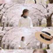 ヒメ日記 2026/04/14 01:32 投稿 ももえ 熟女の風俗最終章 仙台店