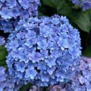 ヒメ日記 2025/06/16 22:04 投稿 うみ リニューアル