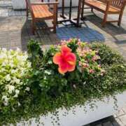 ヒメ日記 2025/06/23 01:22 投稿 うみ リニューアル