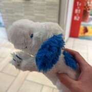 ヒメ日記 2025/06/27 17:24 投稿 うみ リニューアル