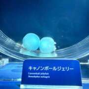 ヒメ日記 2025/07/18 16:06 投稿 うみ リニューアル