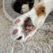 ヒメ日記 2025/07/24 04:00 投稿 うみ リニューアル