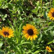 ヒメ日記 2025/08/24 04:40 投稿 うみ リニューアル