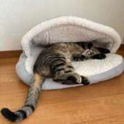 ヒメ日記 2025/08/25 16:38 投稿 うみ リニューアル