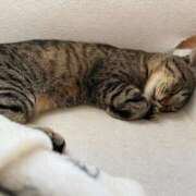 ヒメ日記 2025/08/31 06:02 投稿 うみ リニューアル