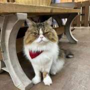 ヒメ日記 2025/09/07 02:13 投稿 うみ リニューアル