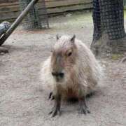 ヒメ日記 2025/09/08 04:13 投稿 うみ リニューアル