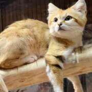 ヒメ日記 2025/09/11 21:44 投稿 うみ リニューアル