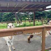 ヒメ日記 2025/09/12 05:12 投稿 うみ リニューアル