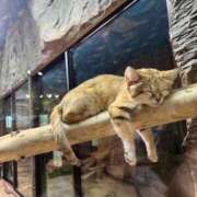 ヒメ日記 2025/09/14 02:55 投稿 うみ リニューアル