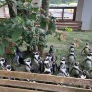 ヒメ日記 2025/09/16 03:57 投稿 うみ リニューアル