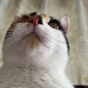 ヒメ日記 2025/09/20 02:21 投稿 うみ リニューアル