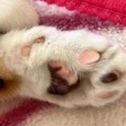 ヒメ日記 2025/09/29 17:55 投稿 うみ リニューアル