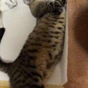 ヒメ日記 2025/10/14 05:12 投稿 うみ リニューアル