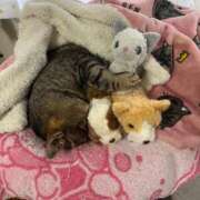 ヒメ日記 2025/10/19 10:30 投稿 うみ リニューアル