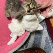 ヒメ日記 2025/10/20 04:46 投稿 うみ リニューアル