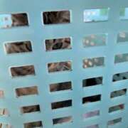 ヒメ日記 2025/11/01 10:24 投稿 うみ リニューアル