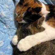 ヒメ日記 2025/11/28 21:25 投稿 うみ リニューアル