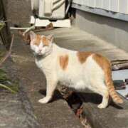 ヒメ日記 2026/01/21 21:10 投稿 うみ リニューアル