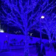 ヒメ日記 2026/01/25 13:31 投稿 うみ リニューアル