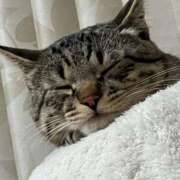 ヒメ日記 2026/01/28 17:00 投稿 うみ リニューアル