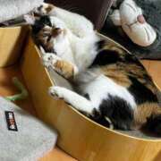 ヒメ日記 2026/02/19 19:22 投稿 うみ リニューアル