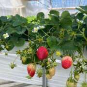 ヒメ日記 2026/02/24 19:29 投稿 うみ リニューアル