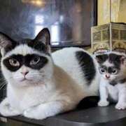 ヒメ日記 2025/06/24 22:05 投稿 ゆき 上野　御徒町オトナのハンドメイド