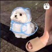 ヒメ日記 2025/08/23 22:05 投稿 ゆき 上野　御徒町オトナのハンドメイド