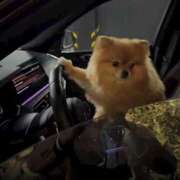 ヒメ日記 2025/09/07 22:35 投稿 ゆき 上野　御徒町オトナのハンドメイド