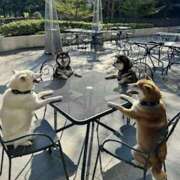 ヒメ日記 2025/09/11 22:34 投稿 ゆき 上野　御徒町オトナのハンドメイド