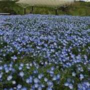 ヒメ日記 2026/01/10 21:51 投稿 ゆき 上野　御徒町オトナのハンドメイド