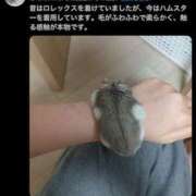 ヒメ日記 2026/05/14 15:49 投稿 ゆき 上野　御徒町オトナのハンドメイド
