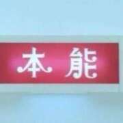 ヒメ日記 2025/07/13 00:07 投稿 あいり 横浜しこたまクリニック