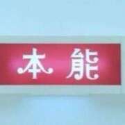 ヒメ日記 2025/07/17 07:33 投稿 あいり 横浜しこたまクリニック