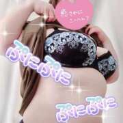 ヒメ日記 2025/06/21 16:20 投稿 うた 西東京市小平ちゃんこ