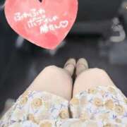 ヒメ日記 2025/07/19 14:28 投稿 うた 西東京市小平ちゃんこ