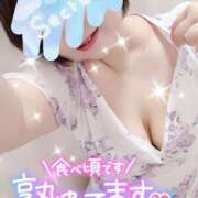 ヒメ日記 2025/09/05 16:21 投稿 うた 西東京市小平ちゃんこ