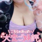 ヒメ日記 2025/09/12 19:01 投稿 うた 西東京市小平ちゃんこ