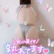 ヒメ日記 2025/10/08 19:29 投稿 うた 西東京市小平ちゃんこ