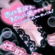 ヒメ日記 2025/11/14 20:15 投稿 うた 西東京市小平ちゃんこ