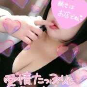 ヒメ日記 2025/11/18 22:48 投稿 うた 西東京市小平ちゃんこ